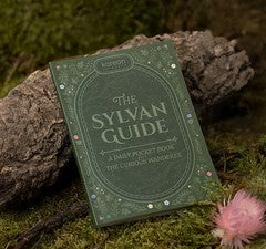 Korean Skincare – The Sylvan Glow Advent Calendar Édition Limitée